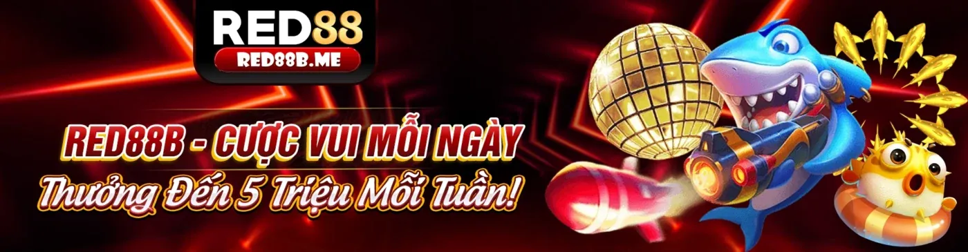 Sân vận động đầy ắp khán giả với logo km1888 và các biểu tượng cá cược thể thao